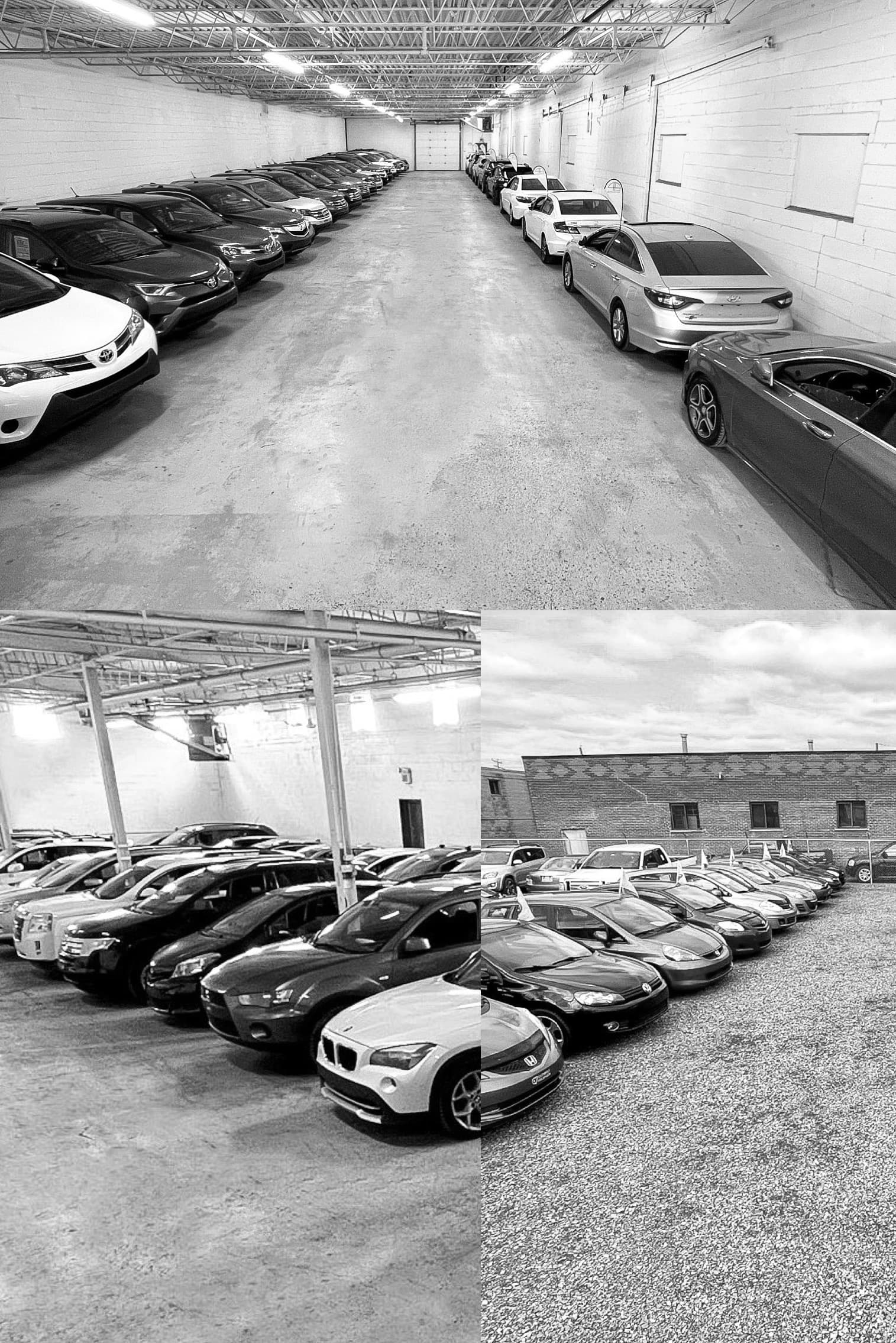 Auto Luana Showroom